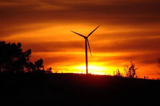 Aerogerador silhuetado contra um pôr do sol intensamente laranja e amarelo, com árvores no primeiro plano