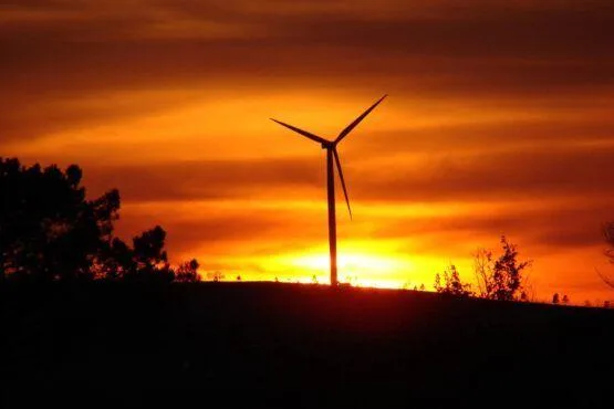 Aerogerador silhuetado contra um pôr do sol intensamente laranja e amarelo, com árvores no primeiro plano