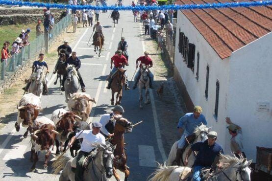 Grupo de cavaleiros e montados numa rua estreita de aldeia, com edifícios brancos e telha de barro, observados por espectadores à margem.