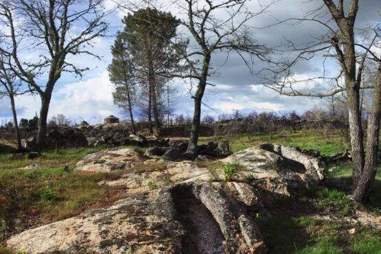 Floresta de pinheiros e árvores caducifólias com grandes rochas expostas no solo e céu nublado ao fundo.