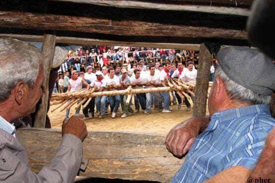 Dois homens idosos observam grupos de participantes a puxar uma corda grossa numa arena de terra, com públicos nas bancadas ao fundo.