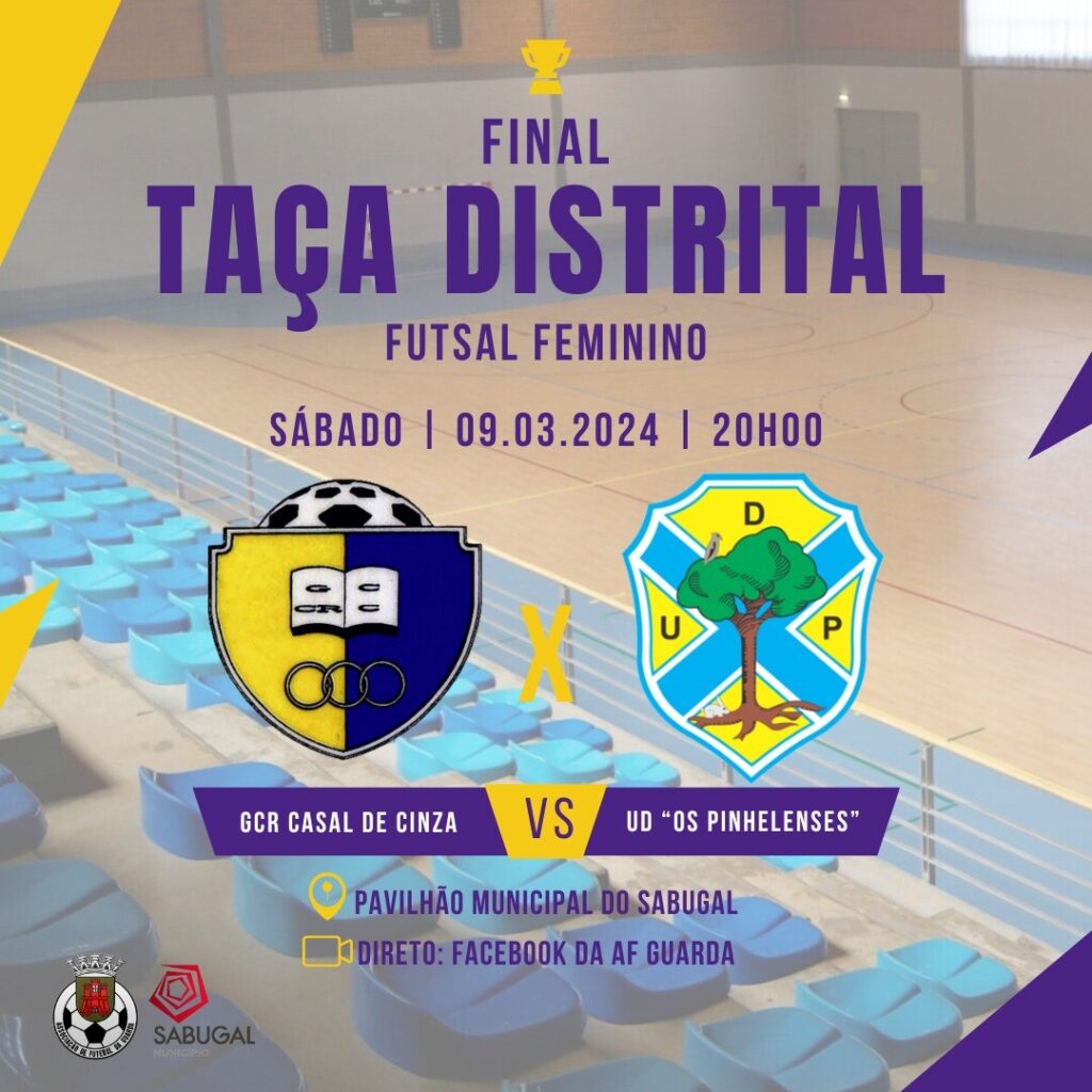 Cartaz Final Da TaÇa Distrital Futsal Feminino