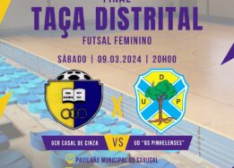 Cartaz Final Da TaÇa Distrital Futsal Feminino