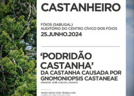 Dia Aberto 3 Foios 2024