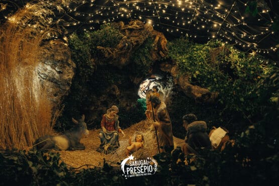 Fotos Ediçao 2024 (2)