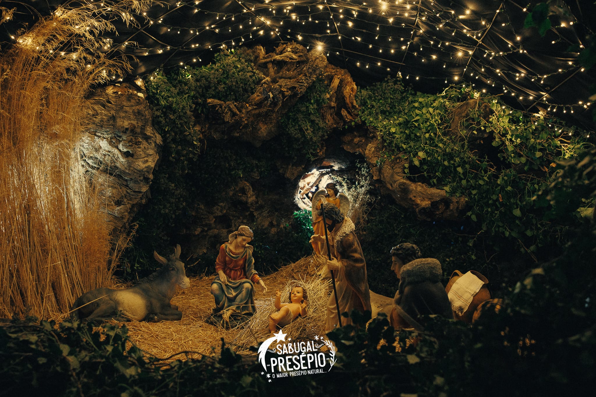 Fotos Ediçao 2024 (2)