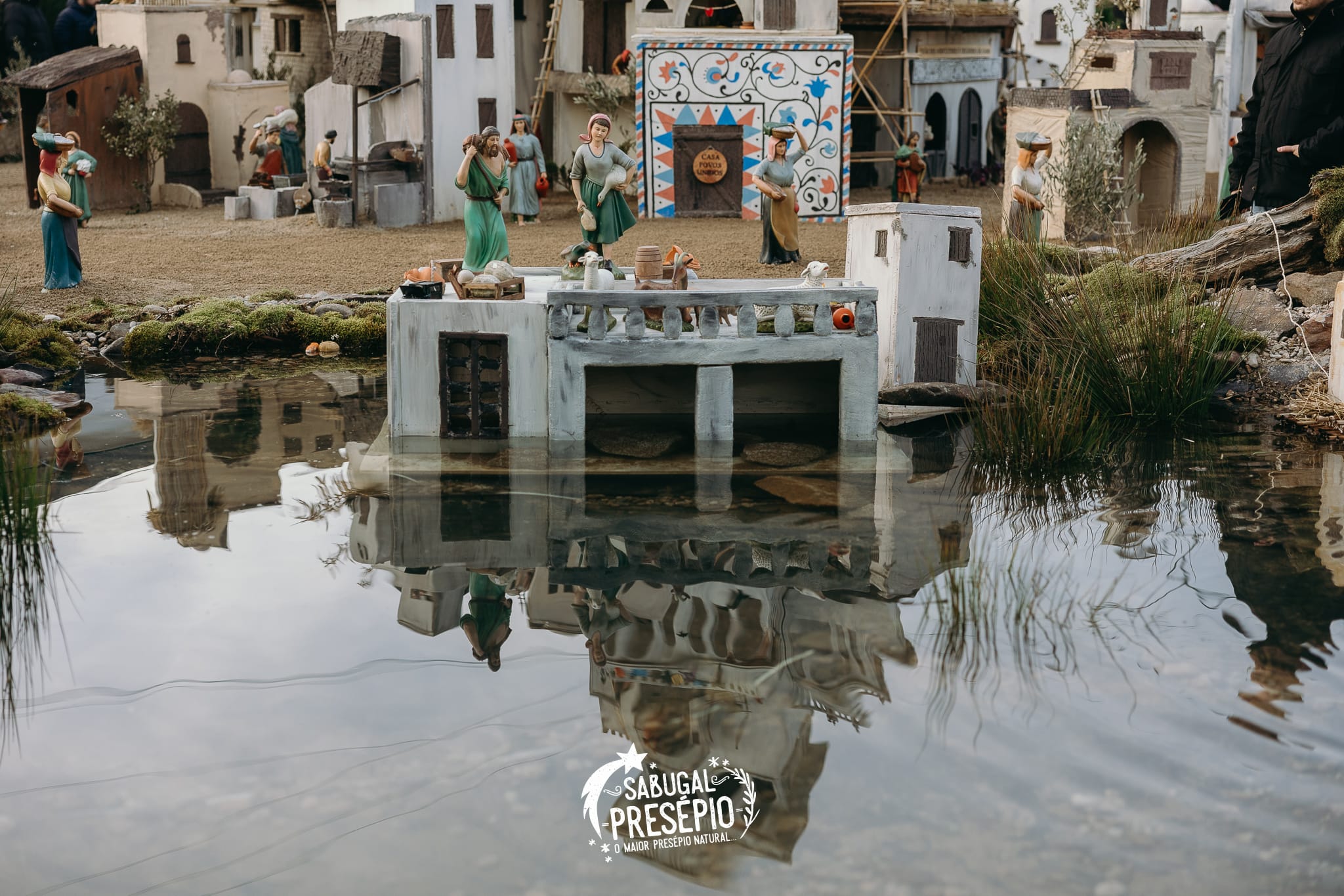 Fotos Ediçao 2024 (4)