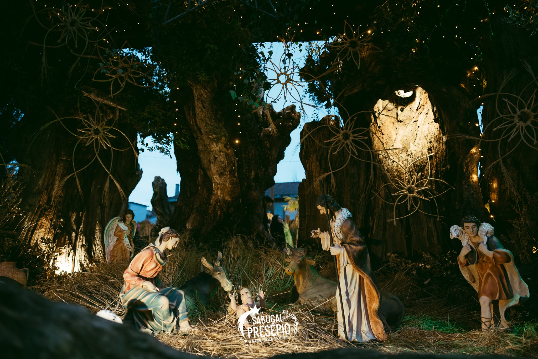 Fotos Presepio (4)