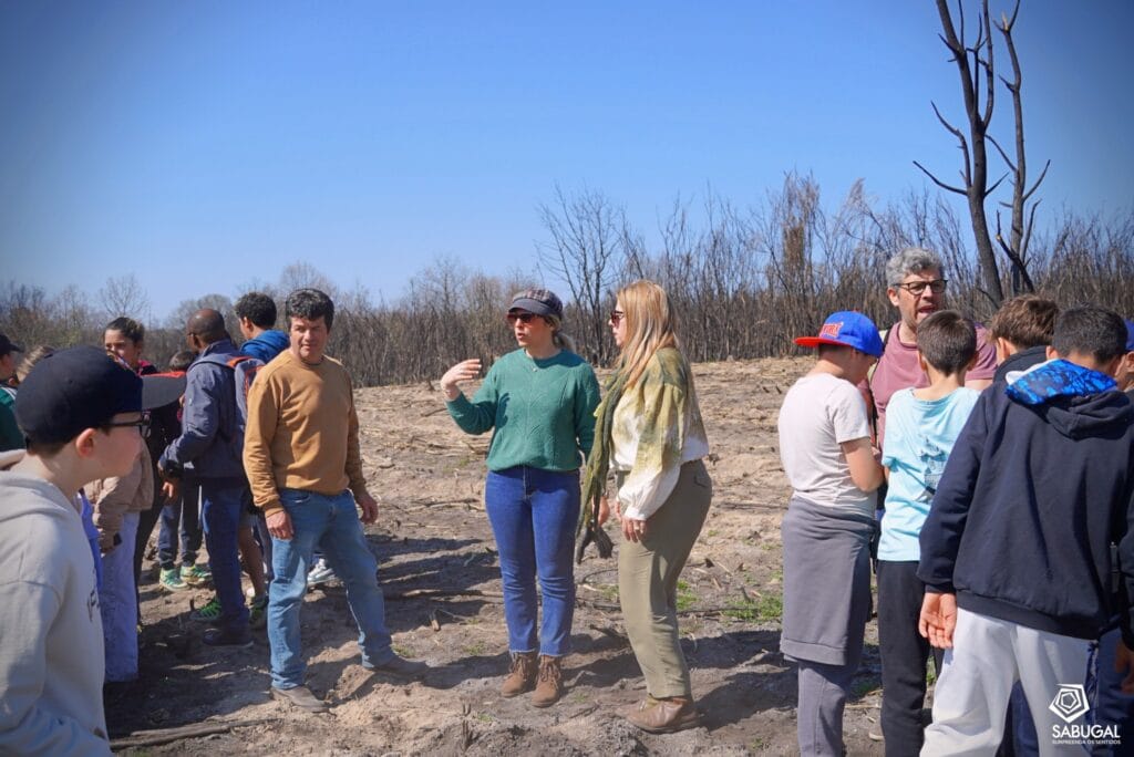 656044880 1342798387890806 1319746510312539367 N