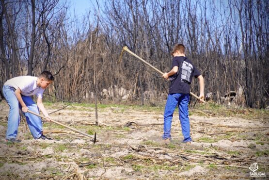 657242025 1342798684557443 5303040464523887248 N