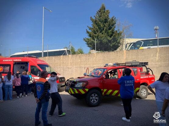 657938287 1342798577890787 2183752926896098059 N