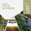 Cinco Sentidos 1 '26