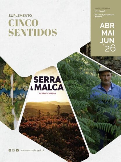 Cinco Sentidos 1 '26