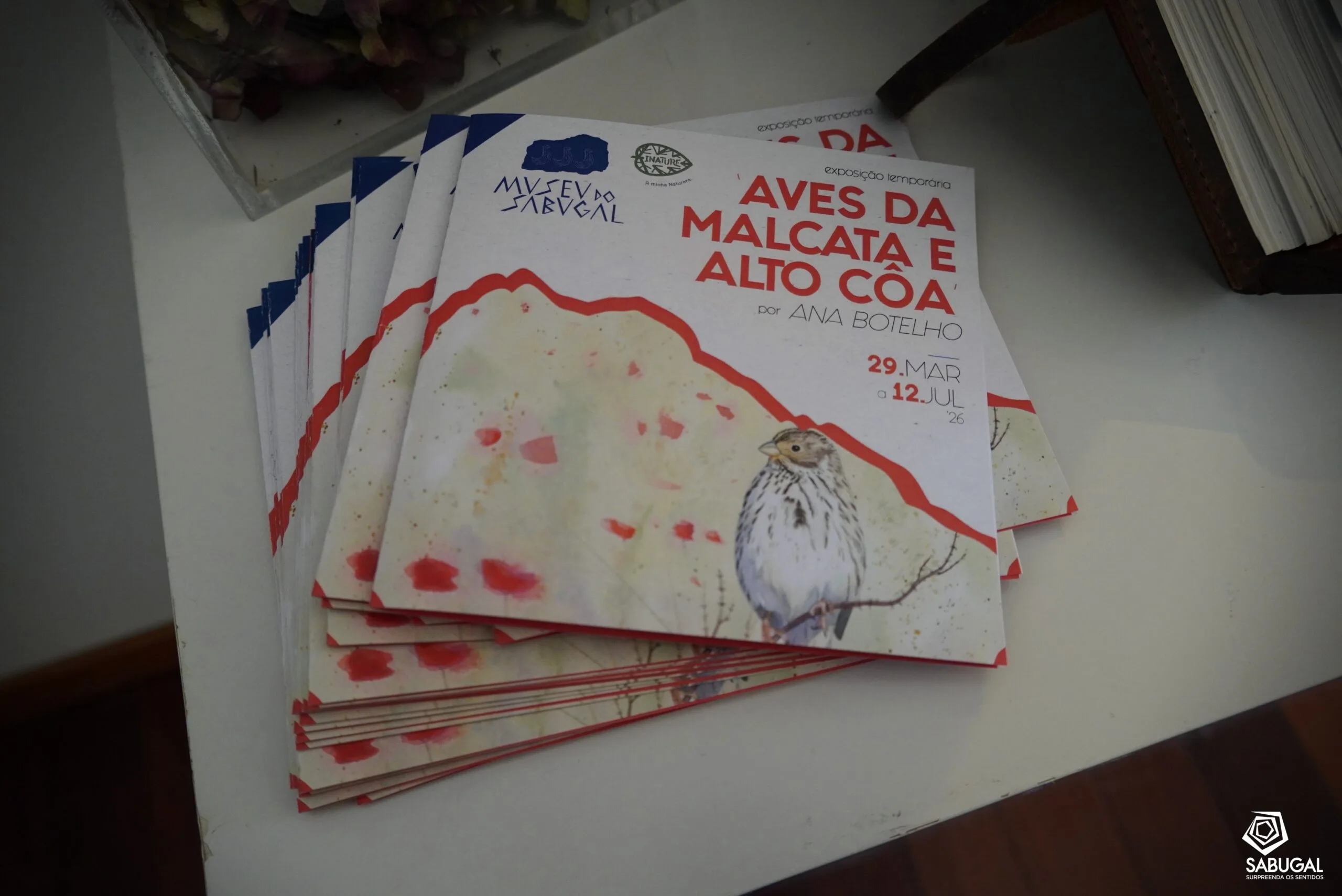 Fotos (15)