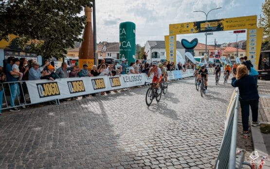 679044343 1366316322205679 5675949666059233833 N