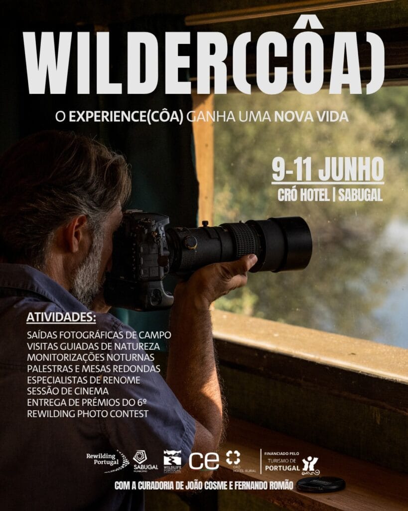 Festival Wilder Côa no Sabugal