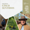5 Sentidos