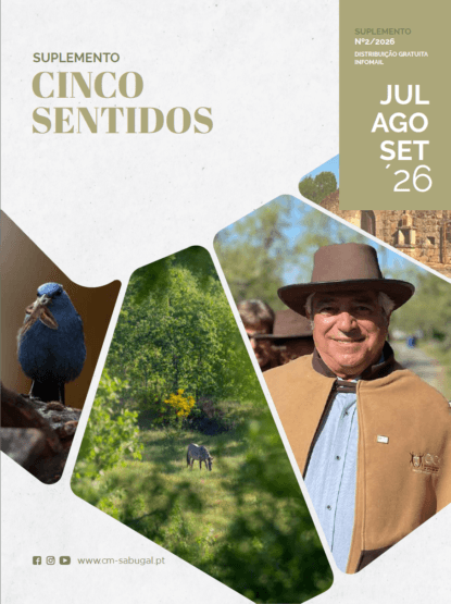5 Sentidos